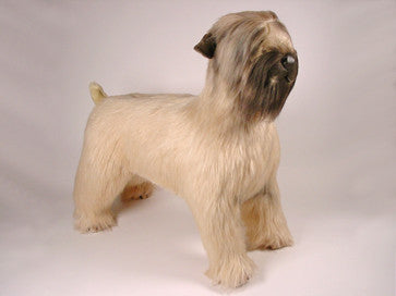 "Grobin" Wheaten Terrier