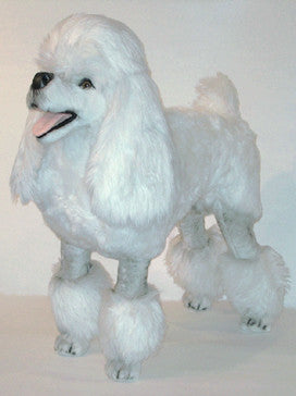 "Marilyn" Poodle