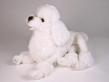 "Zsa Zsa" Poodle