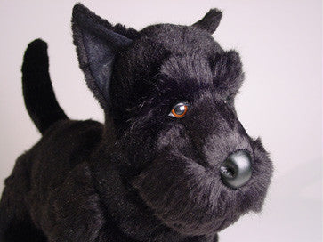 "Fala" Scottish Terrier
