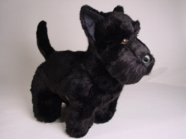 "Fala" Scottish Terrier