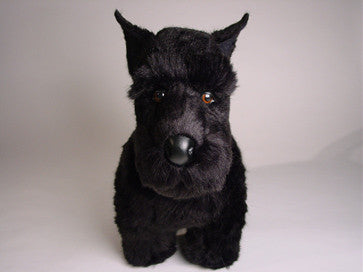 "Fala" Scottish Terrier