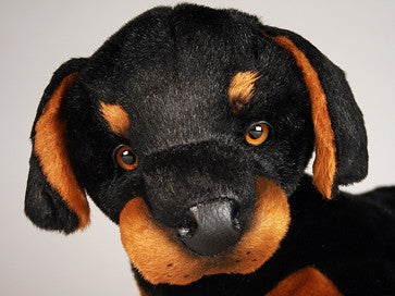 "DeSoto" Doberman Pinscher
