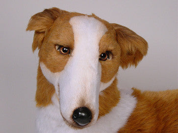 "Ben" Borzoi