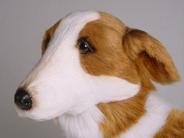 "Tasha" Borzoi Dog
