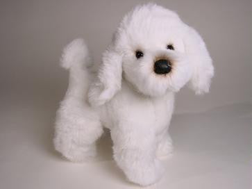"Tinkerbelle" Poodle