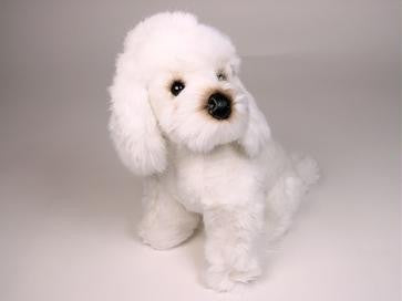 "Priscilla" Poodle