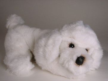 "Pierre" Poodle