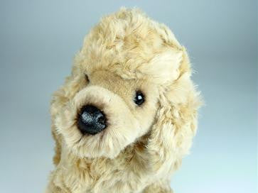 "Maggie" Poodle