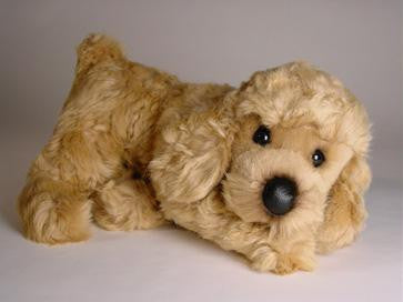 "Gingersnap" Poodle