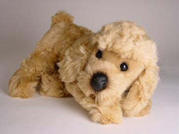 "Gingersnap" Poodle