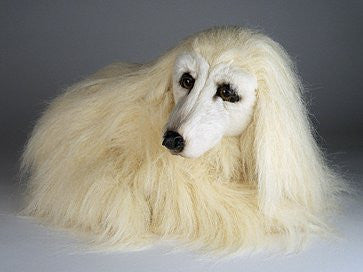 "Abra" Afghan Hound Dog