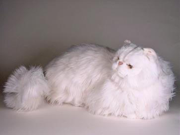 "Seraphita" White Persian