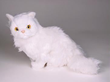 "Sugar" White Persian