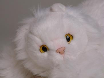 "Pauz" White Persian