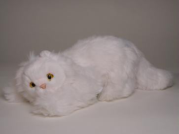 "Pauz" White Persian