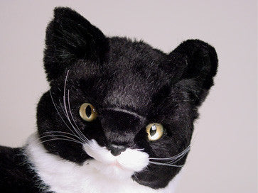 "Lipstick" Manx