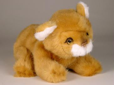 "Samson" Lion Cub