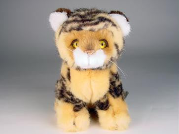 "Princeton" Bengal Tiger
