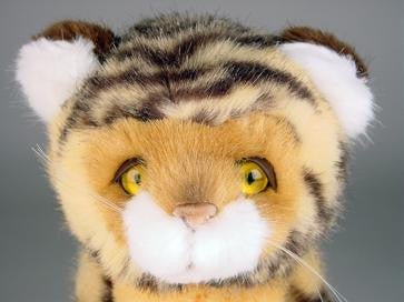"Princeton" Bengal Tiger