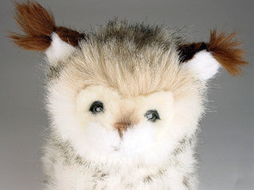 "Lynette" Lynx