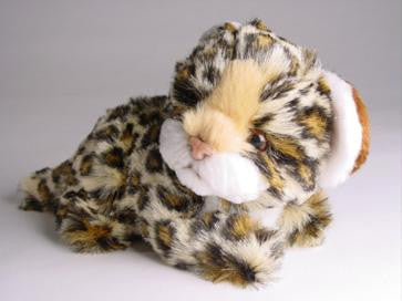 "Freckles" Leopard Cub