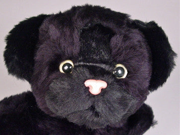 "Carolina" Black Panther Cub