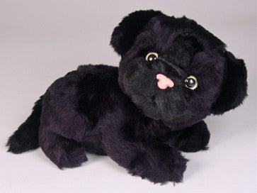 "Carolina" Black Panther Cub