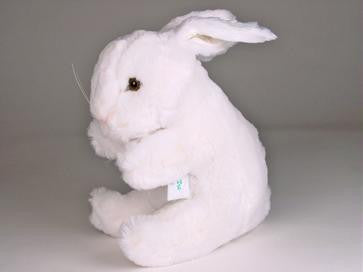 "Trixie" Bunny Rabbit