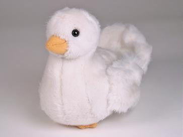 "Peace" Dove Chick