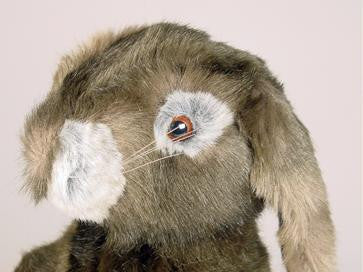 "Skip" Bunny Rabbit