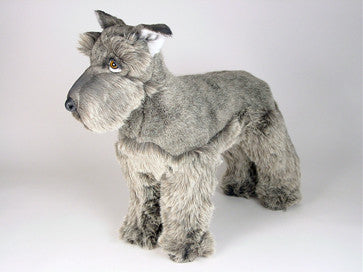 "Leader" Schnauzer