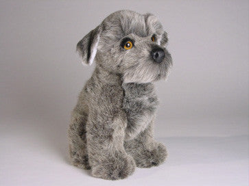 "Riley" Schnauzer