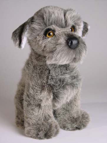 "Riley" Schnauzer