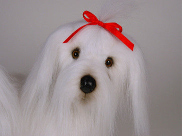 "Samantha" Maltese