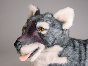 "Richard" Wolf