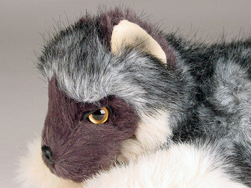 "Dunbar" Wolf