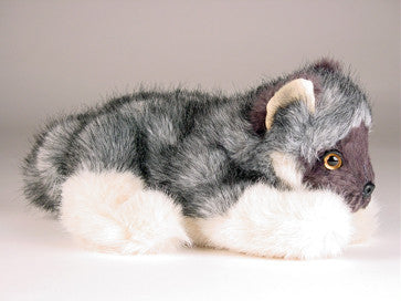 "Dunbar" Wolf