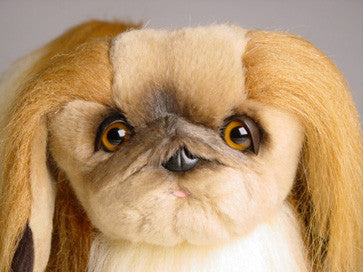 "Chu Chu" Pekingese