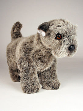 "Duchess" Schnauzer