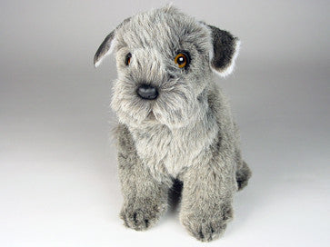 "Scoots" Schnauzer