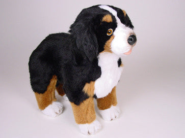 "Shep" Bernese Mountain Dog