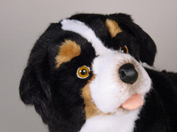 "Blass" Bernese Mountain Dog