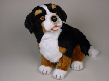 "Blass" Bernese Mountain Dog