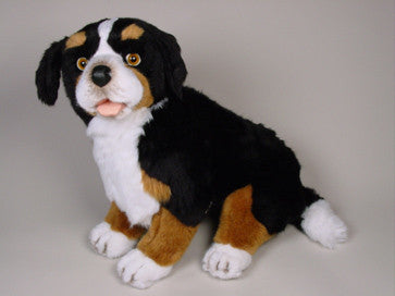 "Blass" Bernese Mountain Dog