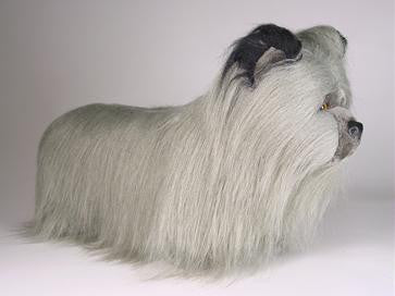 "Magic" Skye Terrier