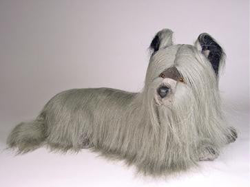 "Allie" Skye Terrier