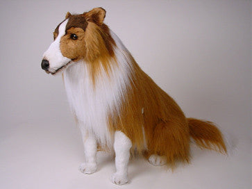 "Lassie" Collie