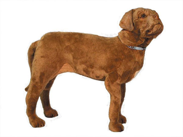 "Hooch" Dogue de Bordeaux