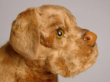 "Beasley" Dogue de Bordeaux